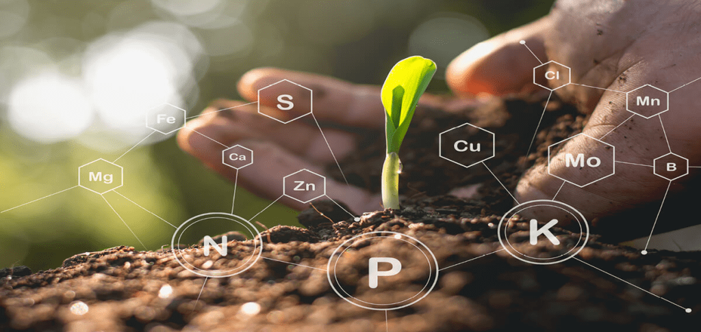 Ορθολογική θρέψη φυτών